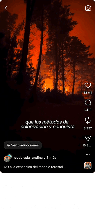 NO a la expansión del modelo forestal
