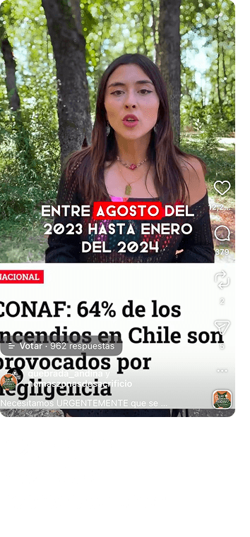 CONAF: 64% incendios por negligencia